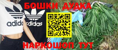 шишки Обь