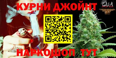 стаф Обнинск