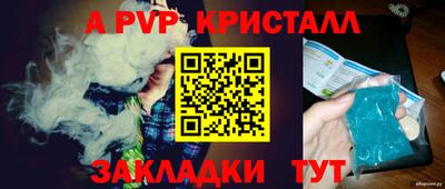 шишки Обь