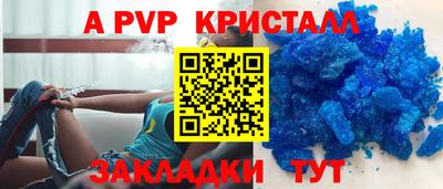 шишки Обь