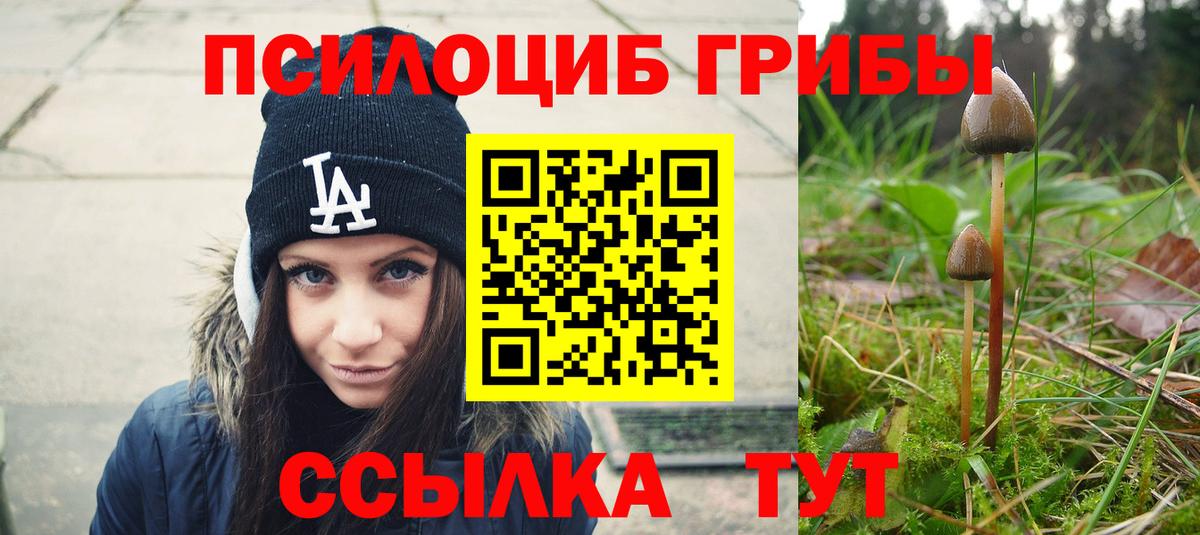 Псилоцибиновые грибы Psilocybe Чехов