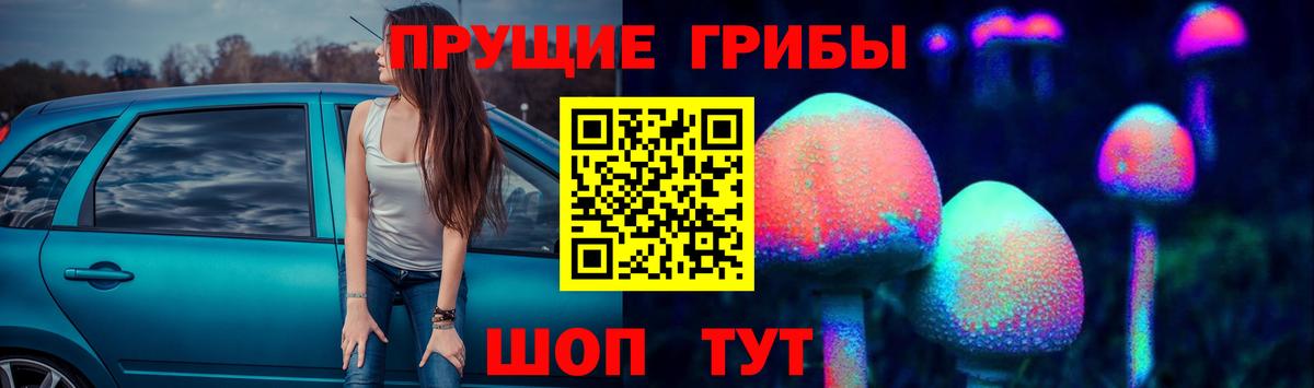 Галлюциногенные грибы Cubensis  Вход с VPN  Чехов 